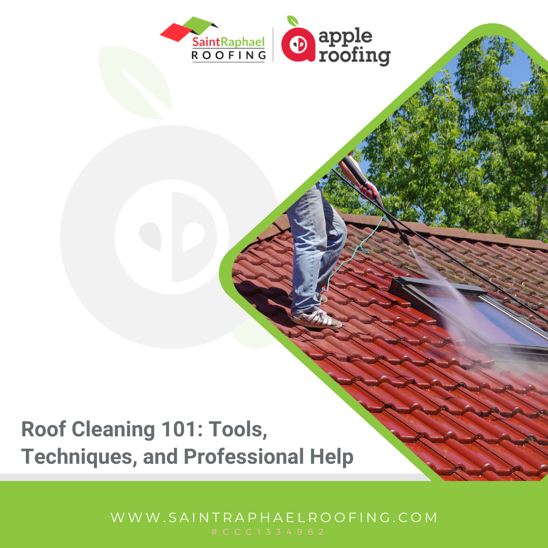 Roof Cleaning 101: Tools, Techniques, and Professional Help